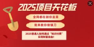 2025项目天花板普通人如何通过知识付费,实现财F自由【揭秘】-桀创项目掘金社