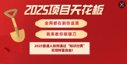 2025项目天花板普通人如何通过知识付费，实现财F自由【揭秘】-桀创项目掘金社