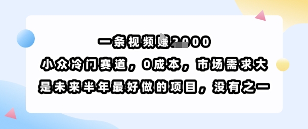 一条视频挣1k，小众冷门赛道，0成本，市场需求大，是未来半年最好做的项目，没有之一-桀创项目掘金社