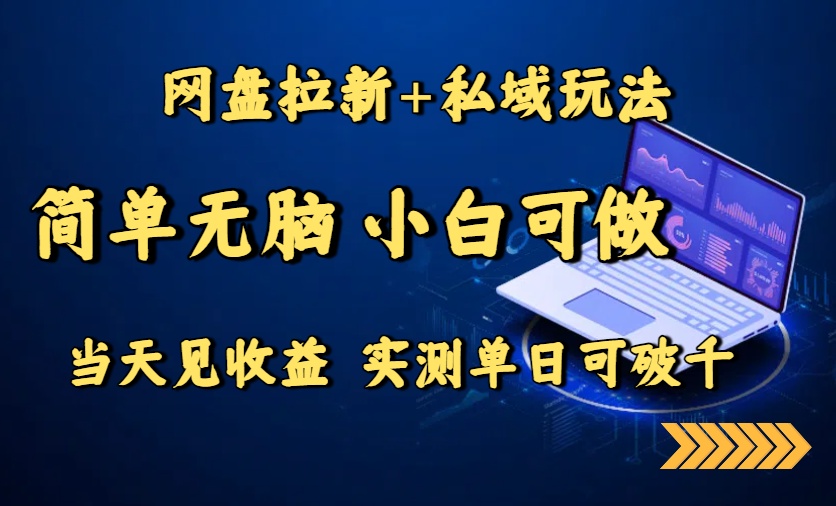 网盘拉新+私域玩法，简单无脑，小白可做，当天见收益，实测单日可破千-桀创项目掘金社