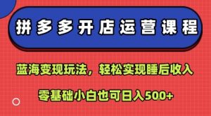 拼多多开店运营课程:蓝海变现玩法,轻松实现睡后收入,零基础小白也可日入5张-桀创项目掘金社