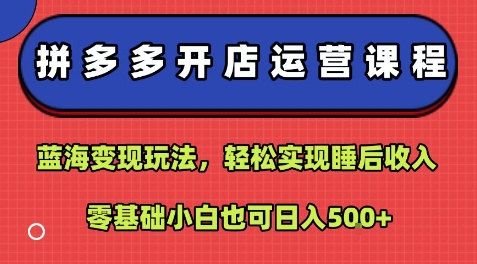 拼多多开店运营课程：蓝海变现玩法，轻松实现睡后收入，零基础小白也可日入5张-桀创项目掘金社