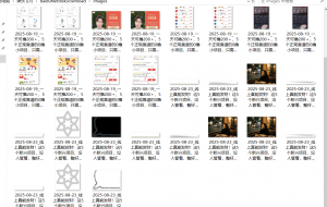 『高端精品』最新公主号无水印下载工具，图片 视频 音频 无脑小白一键下载-桀创项目掘金社