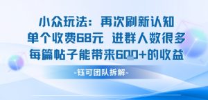 小众玩法再次刷新认知单个收费68米进群人数很多每篇帖子能带来6张的收益-桀创项目掘金社