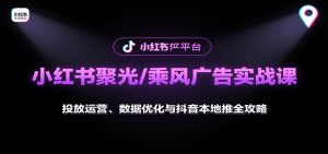 小红书聚光/乘风广告实战课：投放运营、数据优化与抖音本地推全攻略-桀创项目掘金社