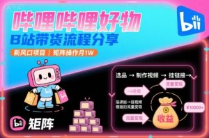 哔哩哔哩好物，B站带货流程分享，新风口项目，矩阵操作月1W-桀创项目掘金社