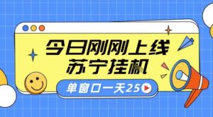 苏宁全自动采集挂G项目 稳定可批量 单窗口收益30+ 附教程【揭秘】-桀创项目掘金社