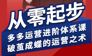 海神·拼多多运营进阶系统课(更新8月)-桀创项目掘金社