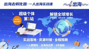 出海去孵化器，一人出海实战课，​超级个体第1站，解锁全球增长-桀创项目掘金社