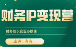 有有老师·财务IP变现营，财务知识变现必修课-桀创项目掘金社
