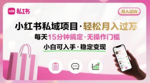 小红书私域项目 月入过W非常轻松 每天15分钟即可搞定，无任何操作门槛，小白可入手-桀创项目掘金社