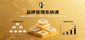 品牌管理系统课：战略定位与消费者洞察，DTC案例、资产评估，增长与公关体系搭建-桀创项目掘金社