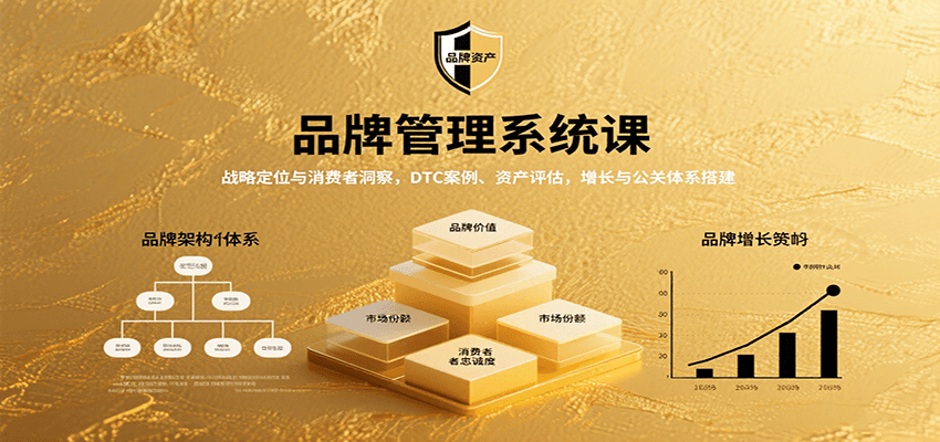 品牌管理系统课：战略定位与消费者洞察，DTC案例、资产评估，增长与公关体系搭建-桀创项目掘金社