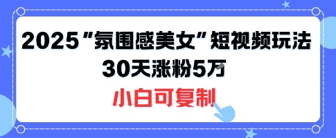不露脸也能火！2025“氛围感美女”短视频玩法，30天涨粉5W小白可复制-桀创项目掘金社