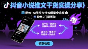 抖音小说推文干货实操分享，混剪+AI图片卡特效爆量全流程，0粉丝0门槛可做-桀创项目掘金社