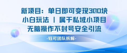 新项目单日即可变现3张的小白玩法无脑操作不封号安全引流-桀创项目掘金社