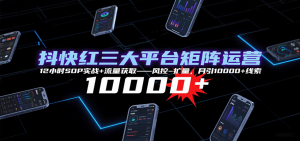 抖快红三大平台矩阵运营,12小时SOP实战+流量获取-风控-扩量,月引10000+线索-桀创项目掘金社