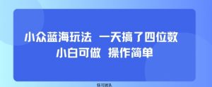 小众蓝海玩法 一天搞了四位数 小白可做 操作简单-桀创项目掘金社