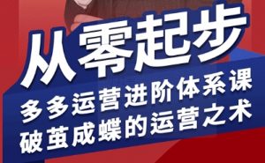 拼多多运营进阶系统课，从零起步，多多运营进阶体系课，破茧成蝶的运营之术-桀创项目掘金社