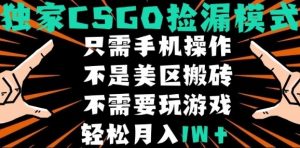 CSGO自动捡漏项目,最新独家玩法,不是美区搬砖,不需要了解和玩游戏,新手小白轻松月入1W+【揭秘】-桀创项目掘金社