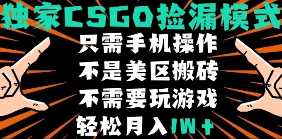 CSGO自动捡漏项目，最新独家玩法，不是美区搬砖，不需要了解和玩游戏，新手小白轻松月入1W+【揭秘】-桀创项目掘金社