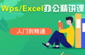 夏老师·WPS Excel办公(精讲课)-桀创项目掘金社