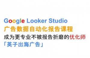 英子出海广告·Google Looker Studio从新手到高手-桀创项目掘金社