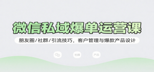 微信私域爆单运营课:朋友圈/社群/引流技巧,客户管理与爆款产品设计-桀创项目掘金社