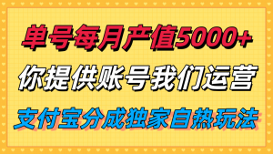 单月产值5000+,支付宝分成代运营,你提供账号坐等分钱,我们帮你运营-桀创项目掘金社