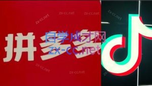 老陶电商·拼多多+抖音小店无货源开店(更新8月)-桀创项目掘金社