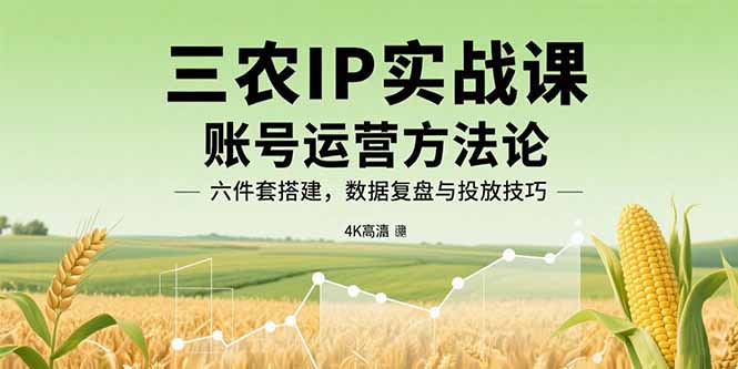 三农IP实战课：账号运营方法论，六件套搭建，数据复盘与投放技巧-桀创项目掘金社