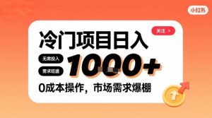在小红书上发现个冷门路子，需求不小，零成本操作，每天能有1k进账-桀创项目掘金社