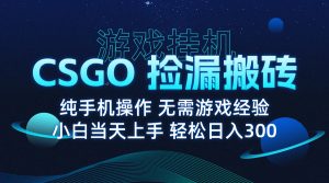 8月最新游戏搬砖,CSGO纯挂机,不需要玩游戏,实现真挂机,月入1W+-桀创项目掘金社