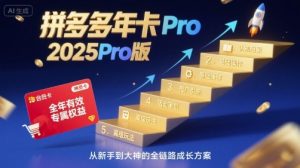拼多多年卡2025Pro版，五大板块从认知到基础、从推广到活动、从活动到玩法-桀创项目掘金社