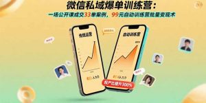 微信私域爆单训练营:一场公开课成交33单案例,99元自动训练营批量变现术-桀创项目掘金社