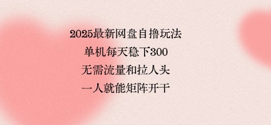 2025最新网盘自撸玩法，单机每天稳下3张，无需流量和拉人头，一个人就可轻松矩阵，全网独一份【揭秘】-桀创项目掘金社