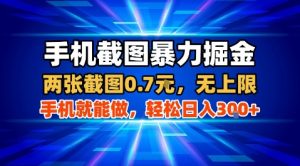 手机截图暴力掘金,两张截图0.7米,一部手机就能做,轻松日入3张+【揭秘】-桀创项目掘金社