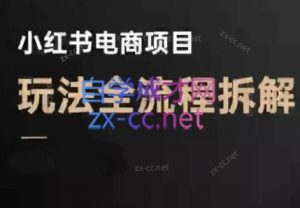 菲菲老师·小红书电商玩法(更新9月)-桀创项目掘金社