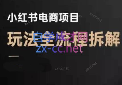 菲菲老师·小红书电商玩法(更新9月)-桀创项目掘金社