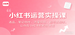 小红书运营实操课:选品、笔记创作、流量获取、起号变现等,让你在小红书轻松获收益-桀创项目掘金社
