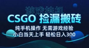 8月最新游戏搬砖，CSGO纯挂G，不需要玩游戏，实现真挂G，月入1W+【揭秘】-桀创项目掘金社