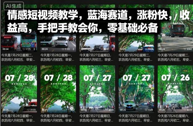 情感短视频教学，蓝海赛道，涨粉快，收益高，手把手教会你，零基础必备-桀创项目掘金社