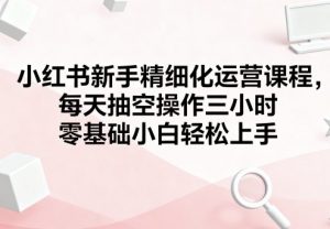 小红书新手精细化运营课程,每天抽空操作三小时,零基础小白轻松上手-桀创项目掘金社