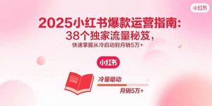 2025小红书爆款运营指南:38个独家流量秘笈,快速掌握从冷启动到月销5万+-桀创项目掘金社