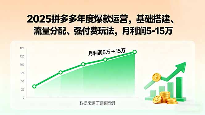 2025拼多多年度爆款运营，基础搭建、流量分配、强付费玩法，月利润5-15万-桀创项目掘金社