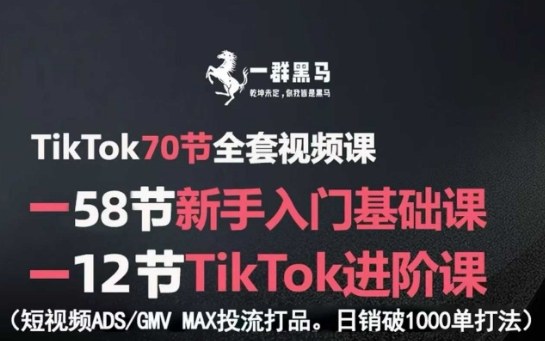 TikTok全套视频课，新手入门+进阶课，短视频ADS-GMV MAX投流打品，日销破1000单打法-桀创项目掘金社