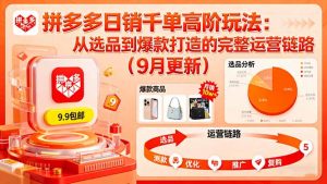 拼多多日销千单高阶玩法:从选品到爆款打造的完整运营链路(9月更新-桀创项目掘金社