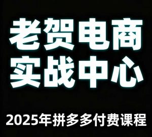 老贺电商2025年拼多多付费课程，用通俗易懂的方法告诉你多多怎么玩-桀创项目掘金社