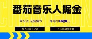 番茄音乐人掘金，单账号最高可撸1k+，可无限矩阵去做，零投入-桀创项目掘金社