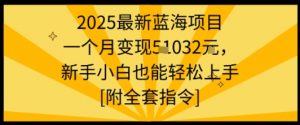 2025最新蓝海项目一个月变现1w+新手小白也能轻松上手【附全套指令】-桀创项目掘金社